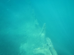 Anzac Cove Dive 032